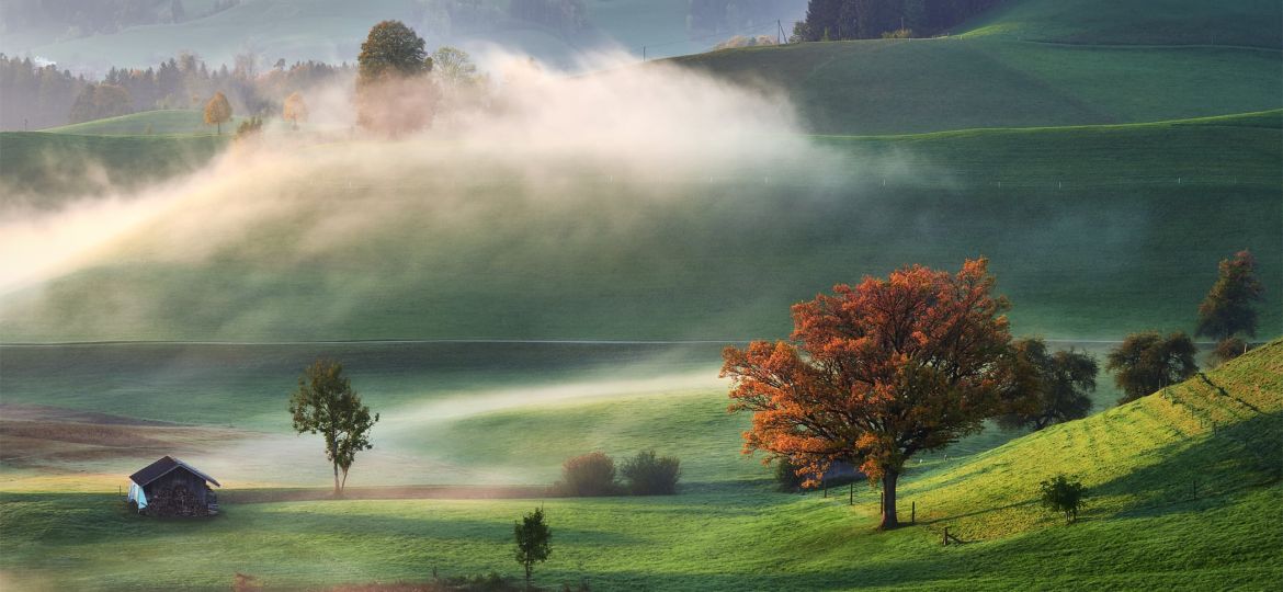 Caressed by mist - Pohlazen mlhou