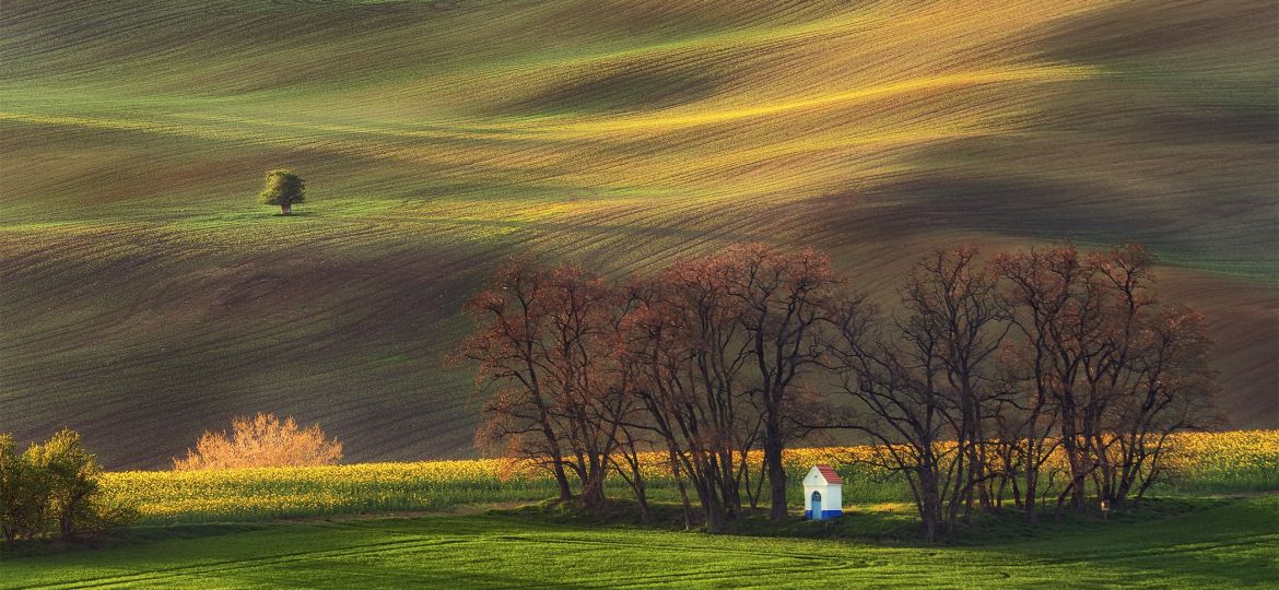 Contemplation in the fields --- Rozjímání v polích