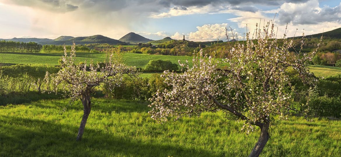 A living landscape --- Živá krajina