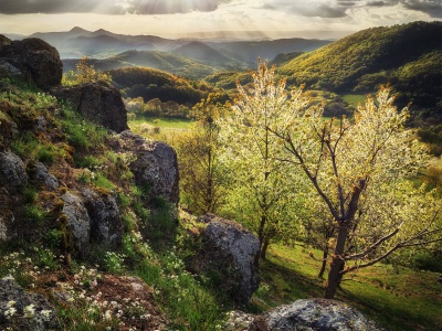 The Spring in Central Bohemian Uplands --- Jaro v Českém Středohoří