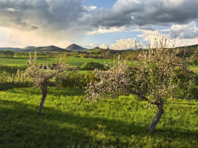 A living landscape --- Živá krajina