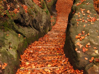 Fairytale road --- Cesta do pohádky