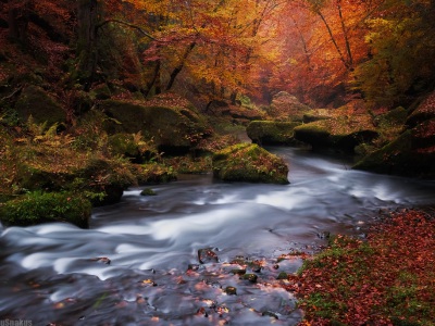 Flowing --- Plynoucí