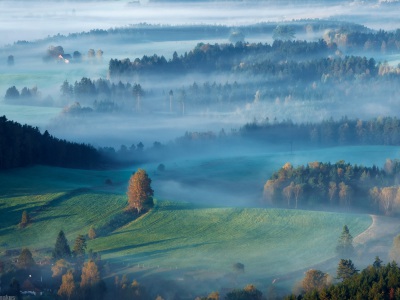 Jetrichovice mists II --- Jetřichovické mlhy II