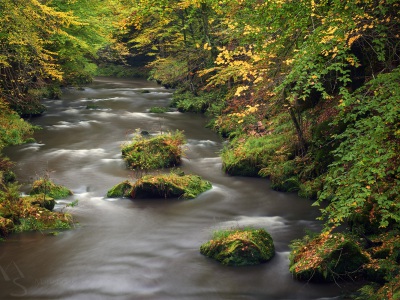 Kamenice river --- Řeka Kamenice