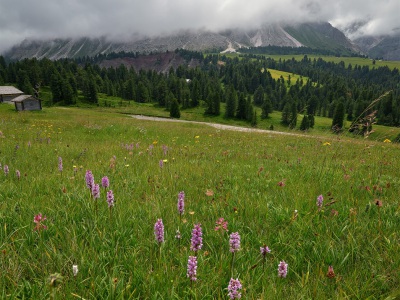 Dolomity 2022