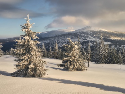 Krkonošští strážci --- Guardians of the Giant mountains
