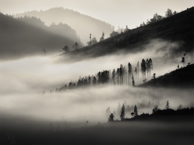 P9290023-m-podp
