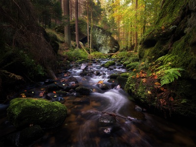 Cesta řeky --- The way of the river