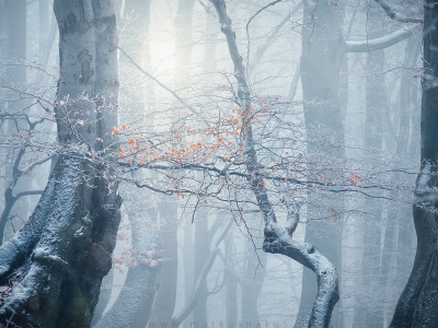 Zima se blíží --- Winter is coming