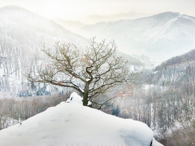 Zimní záře --- Winter glow