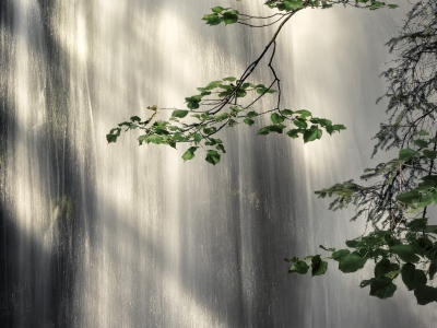 Prameny elfů --- The springs of the Elves