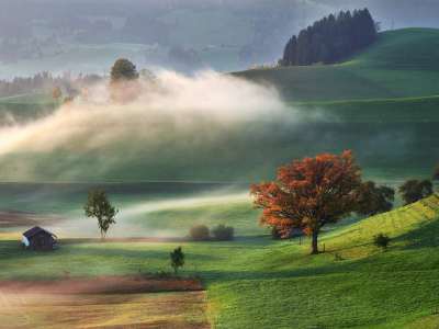 Pohlazen mlhou --- Caressed by mist
