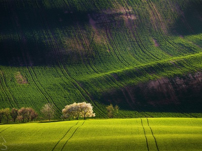 Shapes of the land --- Tvary země