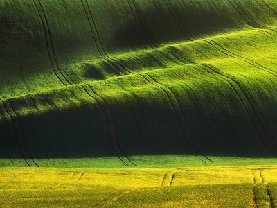 Curves of the light --- Křivky světla