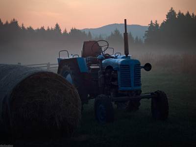 After the harvest --- Po sklizni