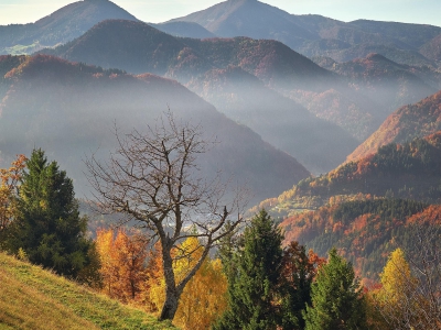 Slovenia --- Slovinsko 2021